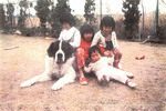 2019-4-9ずぼら犬B.jpg